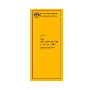 IP 6 La recuperacion y la recaída