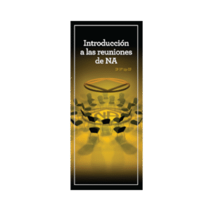 IP 29 introducción a las reuniones de NA
