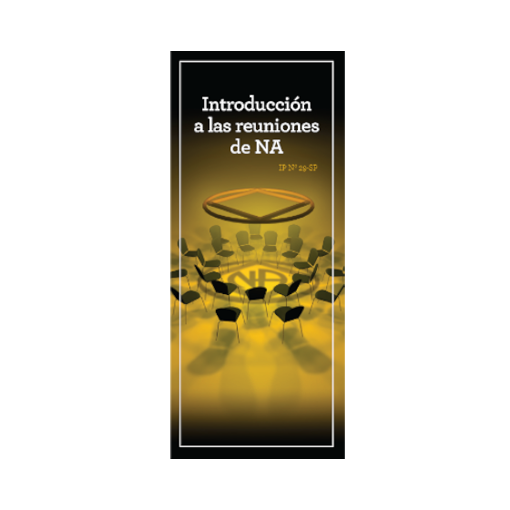 IP 29 introducción a las reuniones de NA