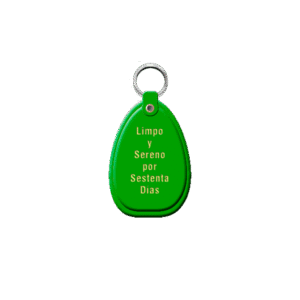 Llavero de 60 dias limpios - Verde